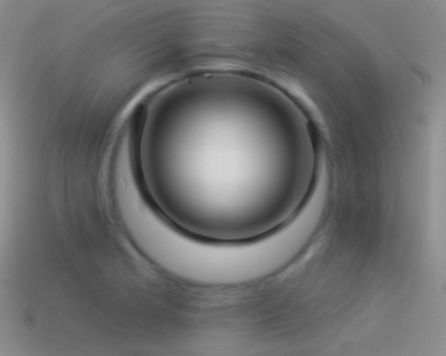 X0000114511181200910191126