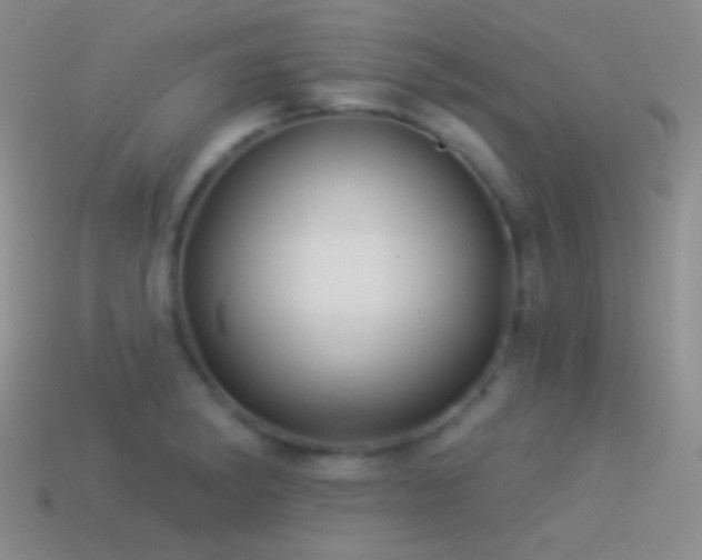X0000114511182200910191126