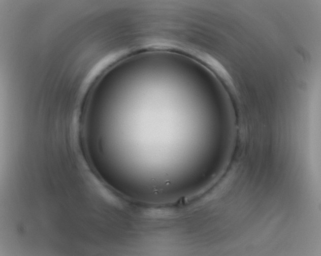 X0000114511183200910191126