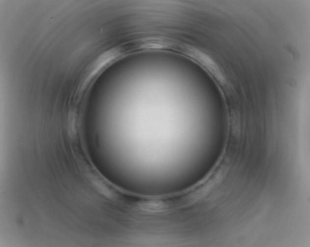 X0000114511186200910191126