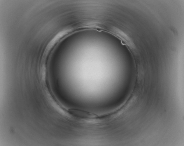 X0000114511188200910191126