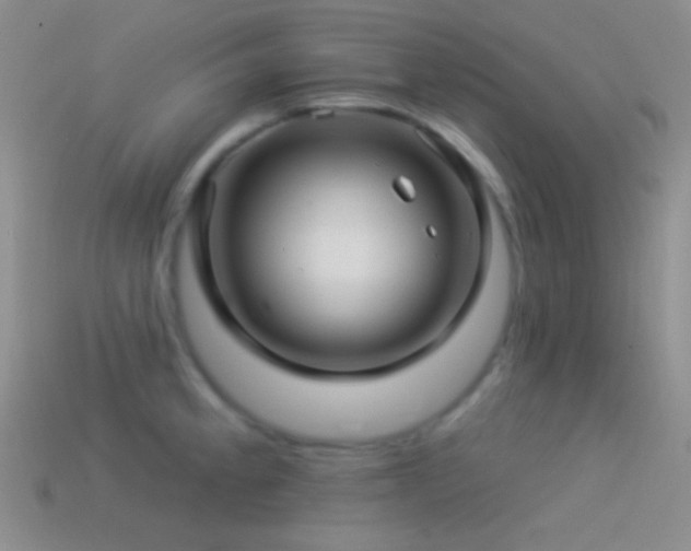 X0000114511189200910191126