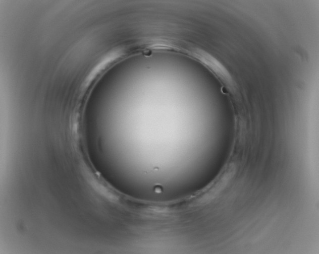 X0000114511190200910191126