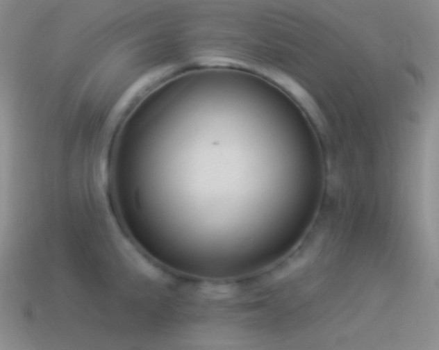X0000114511191200910191126