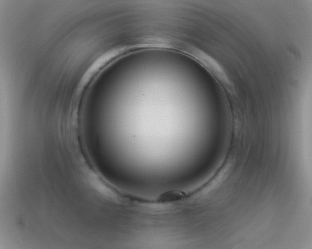 X0000114511192200910191126