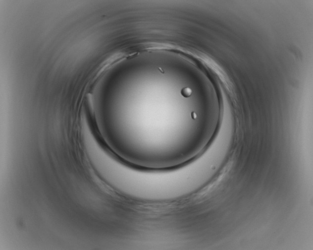 X0000114511193200910191126