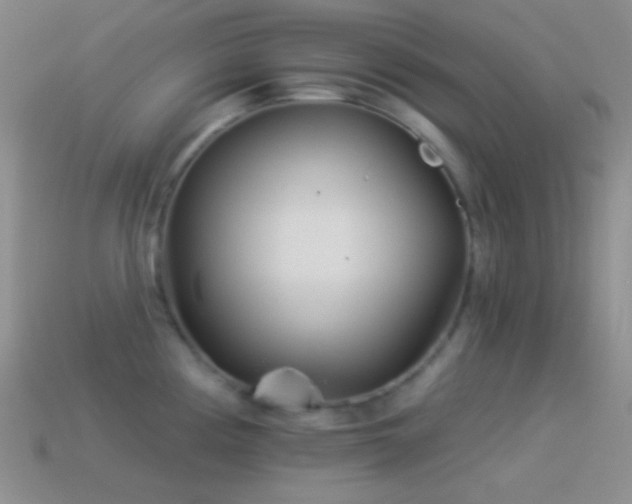 X0000114511194200910191126