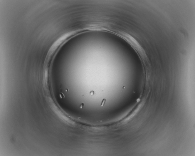 X0000114511196200910191126