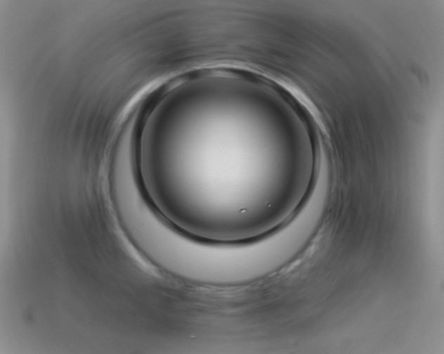 X0000114511197200910191126