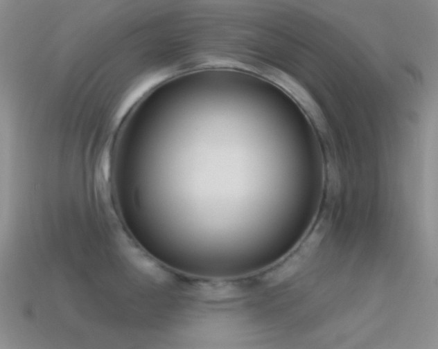 X0000114511198200910191126