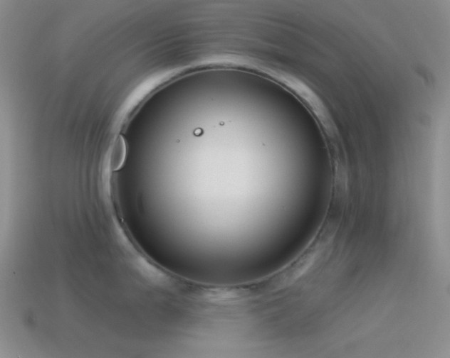 X0000114511199200910191126
