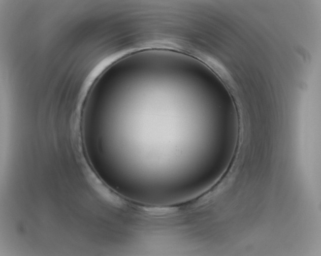 X0000114511200200910191126
