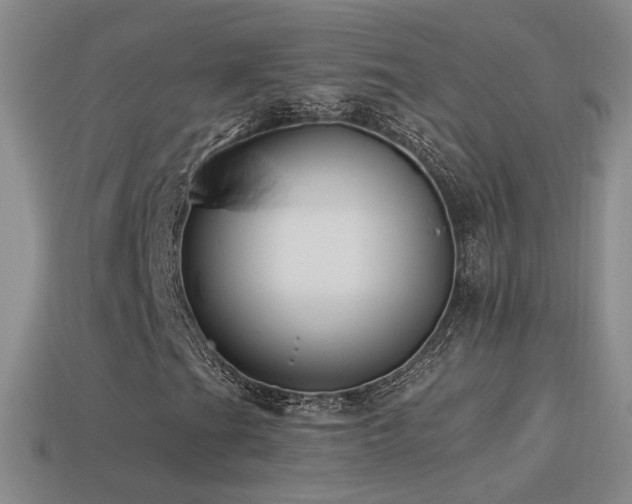 X0000114511201200910191125