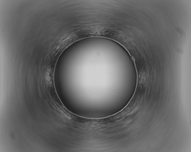 X0000114511202200910191125