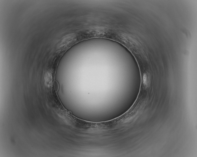 X0000114511203200910191125