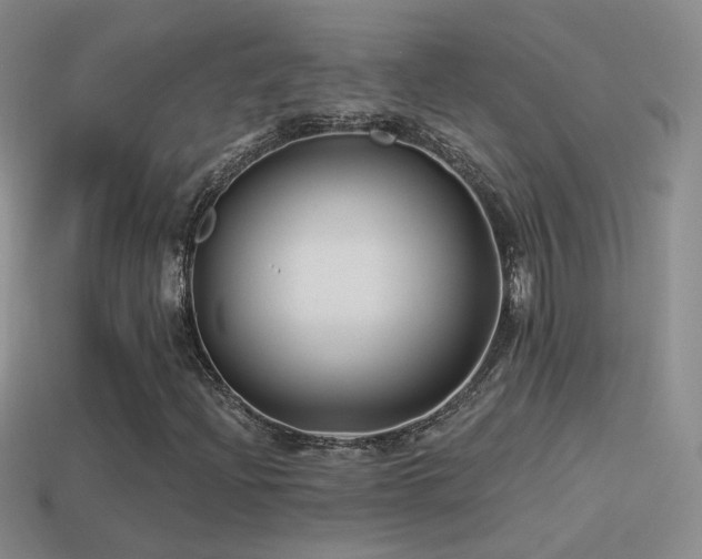 X0000114511204200910191125