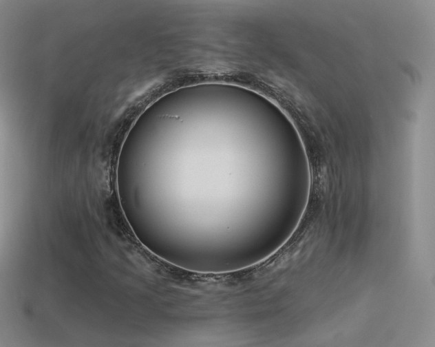 X0000114511205200910191125