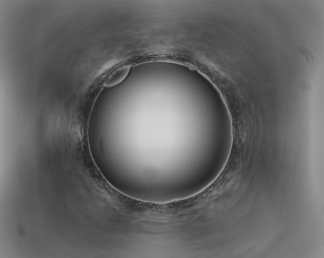 X0000114511206200910191125