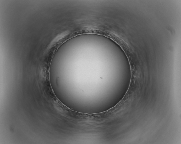 X0000114511207200910191125