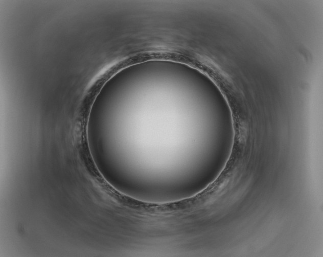 X0000114511208200910191125