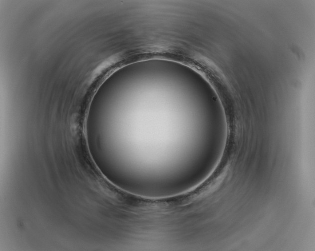 X0000114511210200910191125
