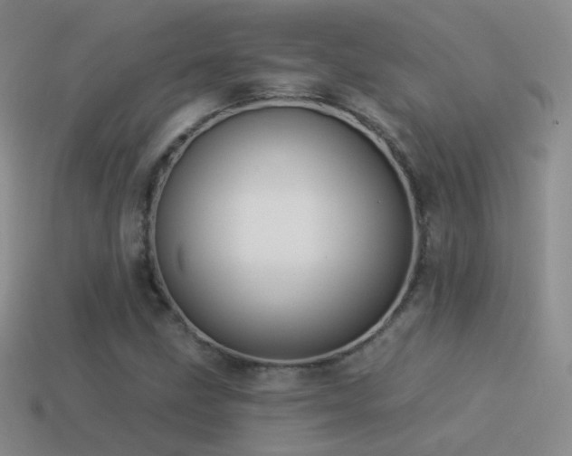 X0000114511211200910191125
