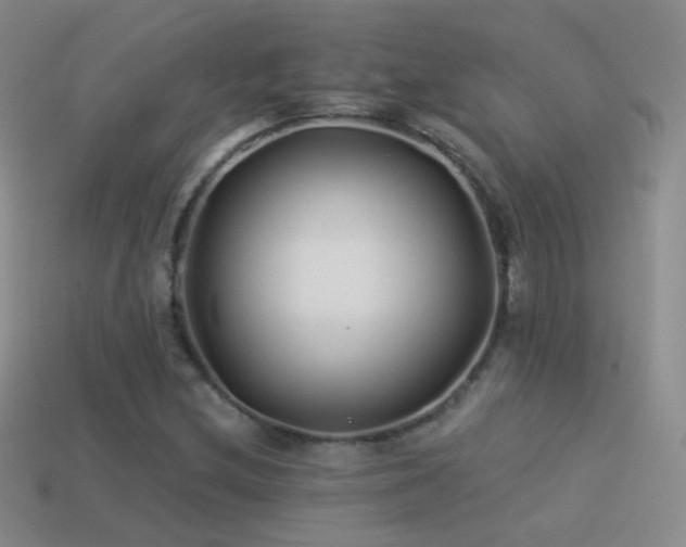 X0000114511212200910191125