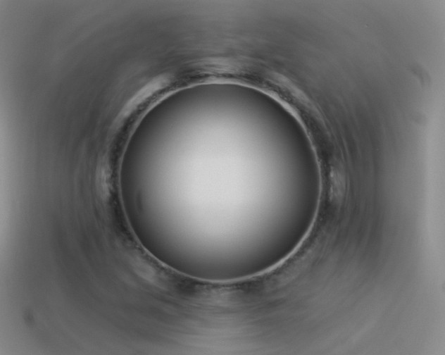 X0000114511213200910191125