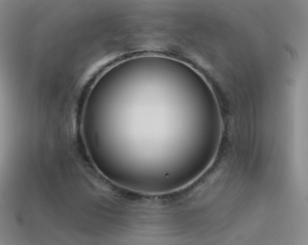 X0000114511214200910191125