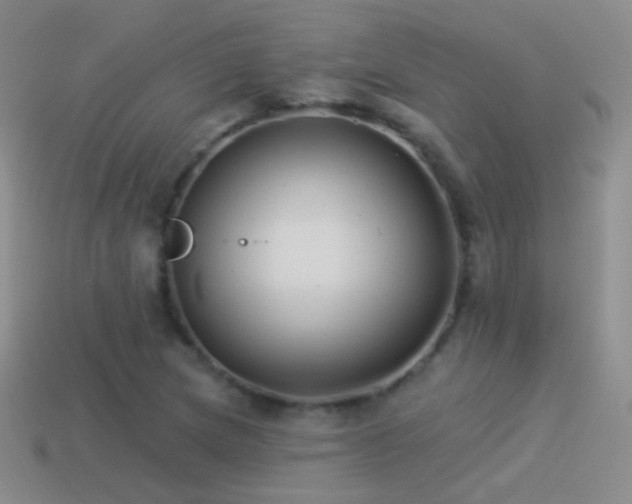 X0000114511217200910191125