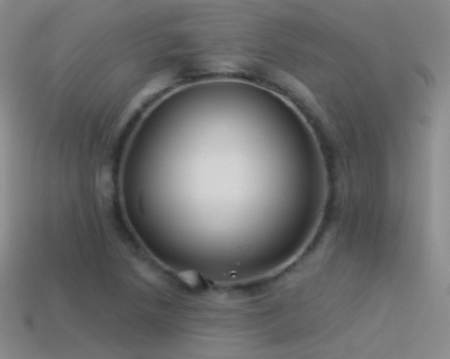 X0000114511218200910191125