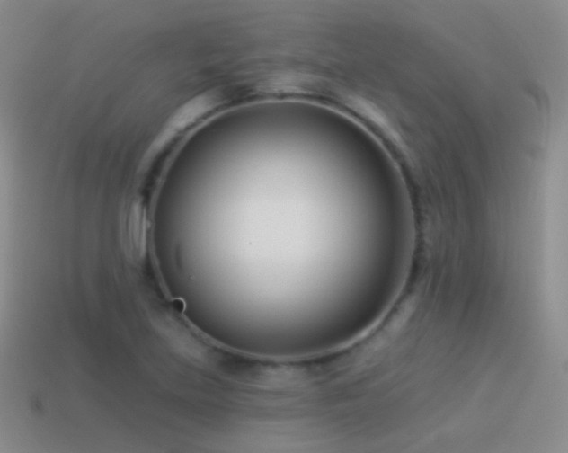 X0000114511219200910191125