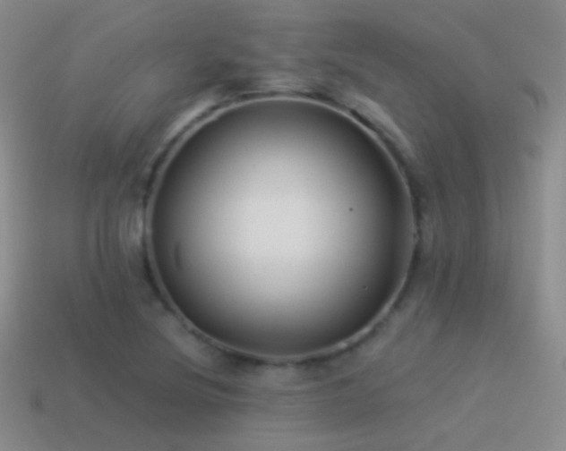 X0000114511220200910191125