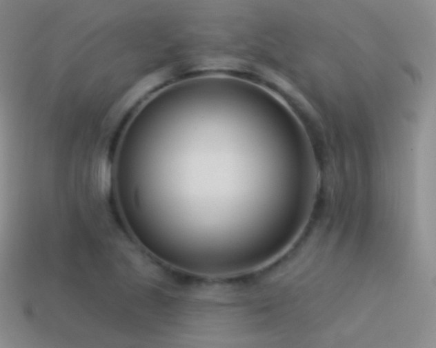 X0000114511221200910191125
