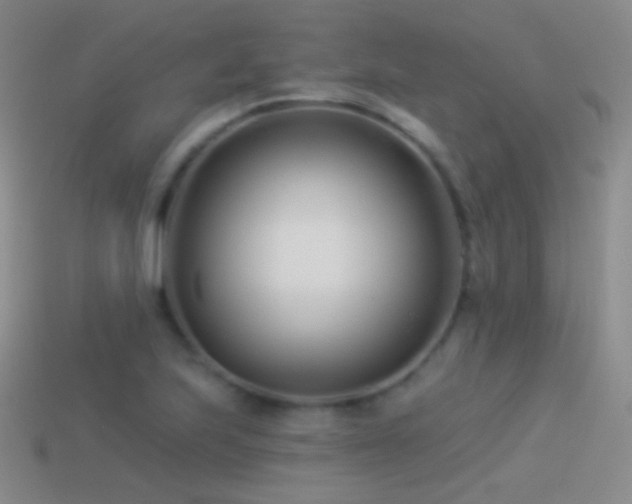 X0000114511223200910191125