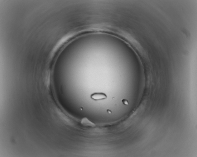 X0000114511224200910191126