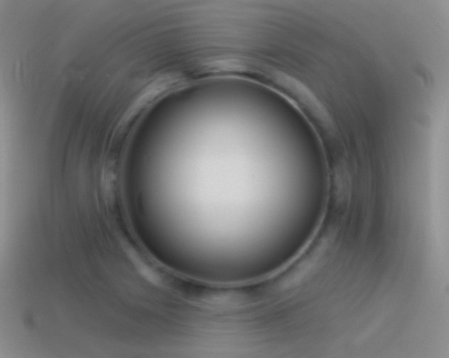 X0000114511225200910191126