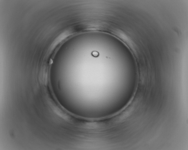 X0000114511227200910191126