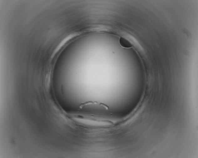 X0000114511228200910191126