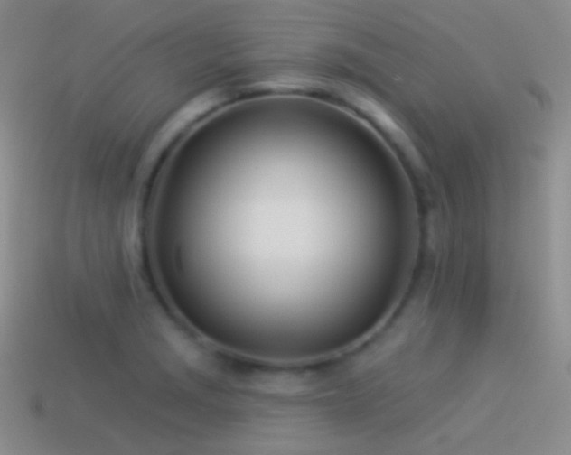 X0000114511229200910191126
