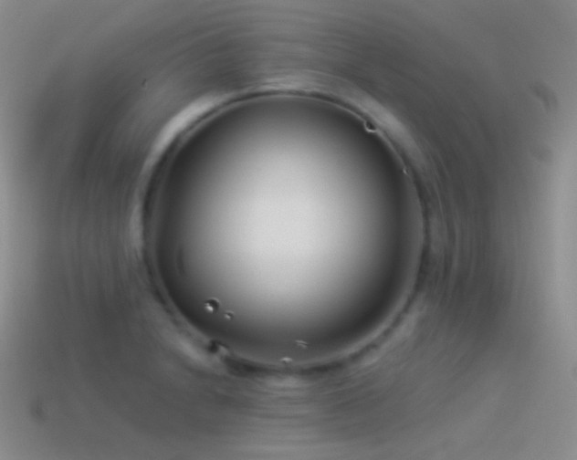 X0000114511230200910191126