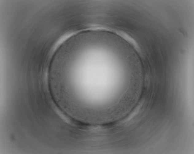 X0000114511231200910191126