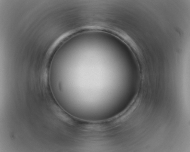 X0000114511232200910191126