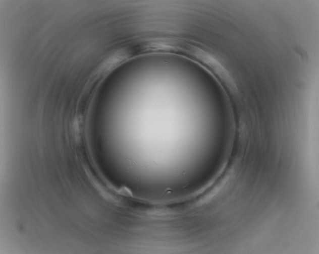 X0000114511233200910191126