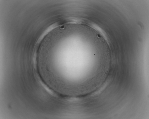 X0000114511235200910191126