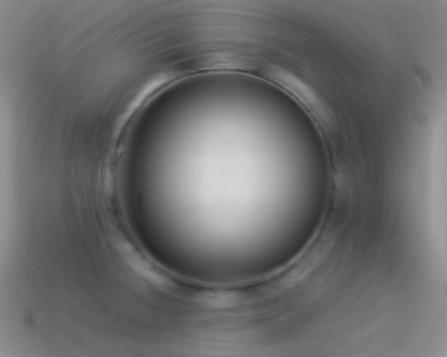 X0000114511236200910191126