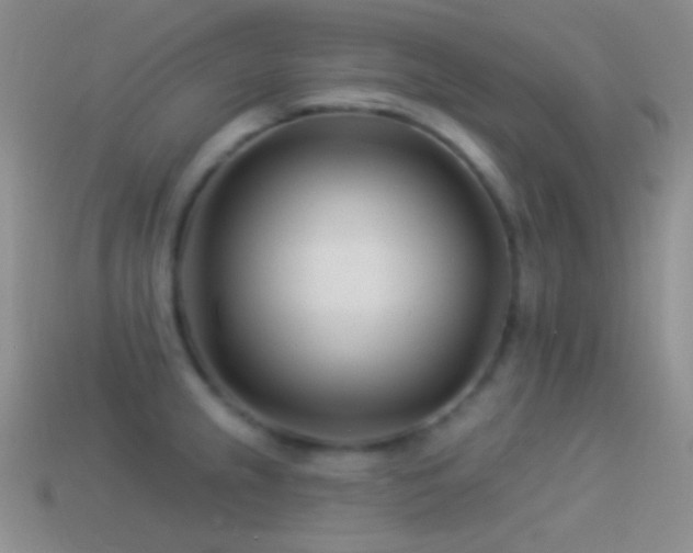 X0000114511237200910191126