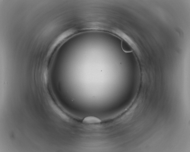 X0000114511238200910191126
