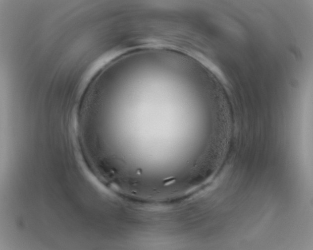 X0000114511239200910191126