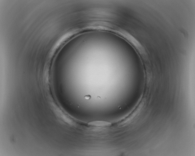 X0000114511240200910191126